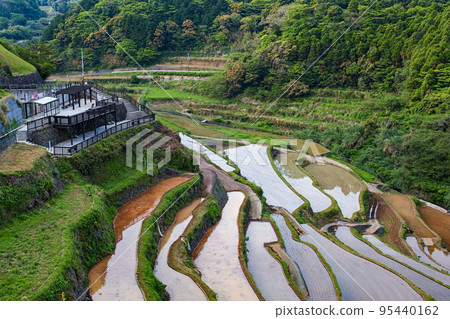 Saga Prefecture / Terraced rice fields in Hamanoura where the morning sun begins to shine 95440162