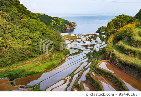 Saga Prefecture / Terraced rice fields in Hamanoura where the morning sun begins to shine 95440163
