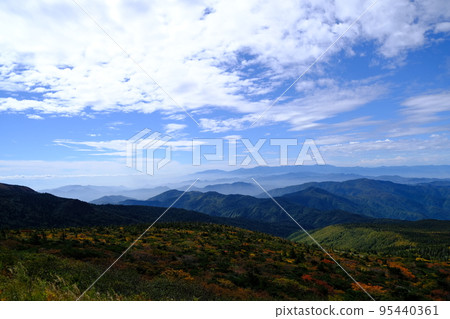 Autumn high sky and mountain surface starting to change color (Zao) 95440361