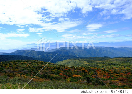 Autumn high sky and mountain surface starting to change color (Zao) 95440362