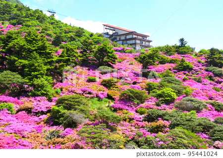 Miyama Kirishima of Nita Pass 95441024