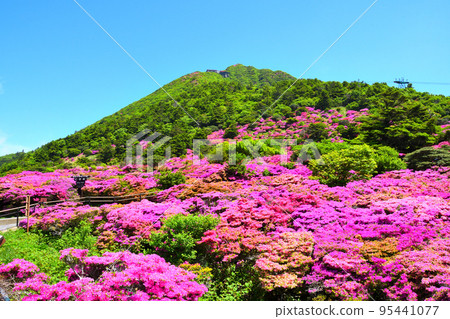 Miyama Kirishima of Nita Pass 95441077