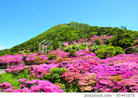 Nita Pass的Miyama Kirishima 95441078