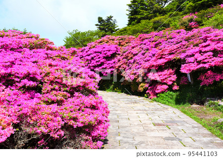 Miyama Kirishima of Nita Pass Miyama Kirishima of Nita Pass 95441103