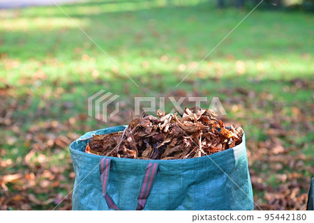 brown autumn leaves in a green bag in the foreground 95442180