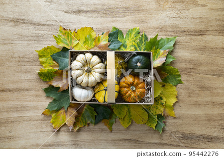 Thanksgiving background with pumpkins in a basket Thanksgiving background with pumpkins in a basket 95442276