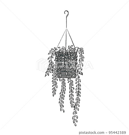 滑動內部綠色 aeschynanthus 95442389