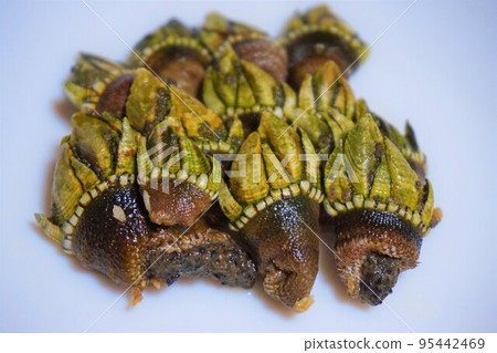 Kamenote Kamenote Boiled Salted Delicacy 95442469