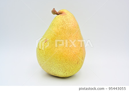 Pear Margherit·Marila 95443055