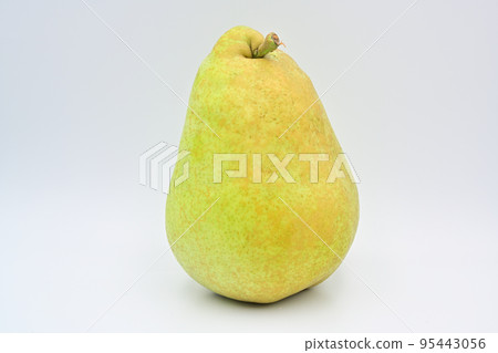 Pear Margherit·Marila 95443056