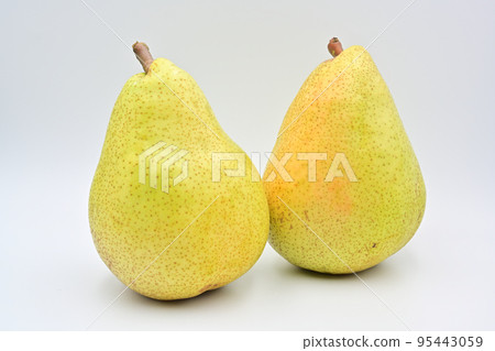 Pear Margherit·Marila Pear Margherit·Marila 95443059