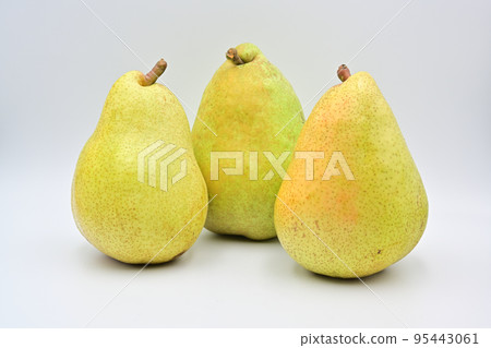 Pear Margherit · Marila Pear Margherit · Marila 95443061
