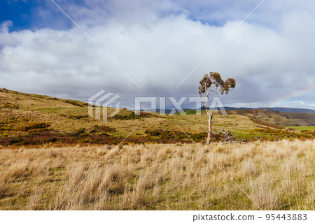 Landscape Near Ouse in Tasmania Australia 95443883