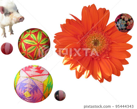 球和花 7 95444343