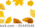 Colorful autumn leaves isolated on white background 95445646