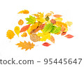 Colorful pile of autumn leaves on white background 95445647