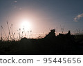 sunset and plant silhouette 95445656