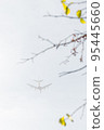 Airplane in fog in autumn leaves photo 95445660