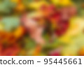 Colorful autumn leaves blured background 95445661