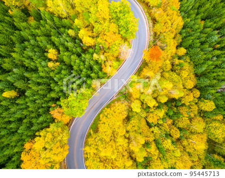 Winding forest asphalt road on colorful autumn day from above 95445713
