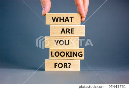 What are you looking for symbol. Concept words What are you looking for on wooden blocks. Businessman hand. Beautiful grey table grey background. Business what are you looking for concept. Copy space. What are you looking for symbol. Concept words What are you looking for on wooden blocks. Businessman hand. Beautiful grey table grey background. Business what are you looking for concept. Copy space. 95445761