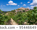 View from a vineyard to the houses of the Italian village of Cossignano. 95446649