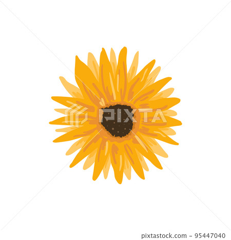 Hand drawn colorful sunflower doodle style, vector illustration isolated on white background. Bright yellow shades petals, decorative design element, natural plant Hand drawn colorful sunflower doodle style, vector illustration isolated on white background. Bright yellow shades petals, decorative design element, natural plant 95447040