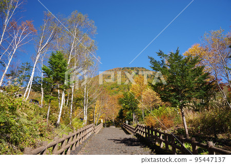平湯溫泉阿卡達納停車場的紅葉景色 95447137