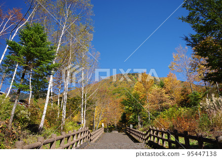 Autumn leaves scenery of Hirayu Onsen Akandana parking lot 95447138