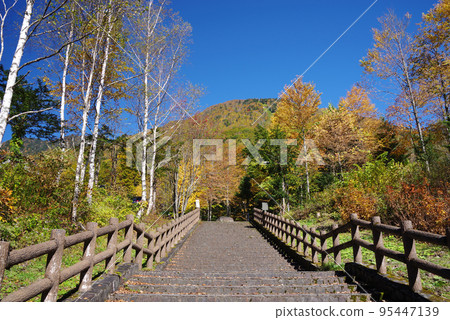 平湯溫泉阿卡達納停車場的紅葉景色 95447139