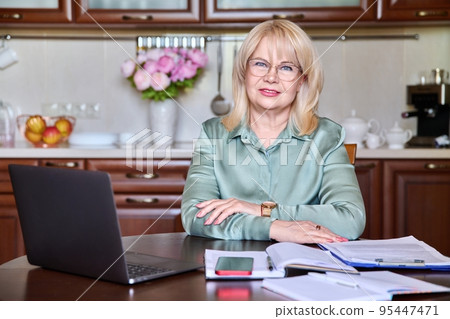 Portrait of senior business woman looking at camera working at home with laptop 95447471