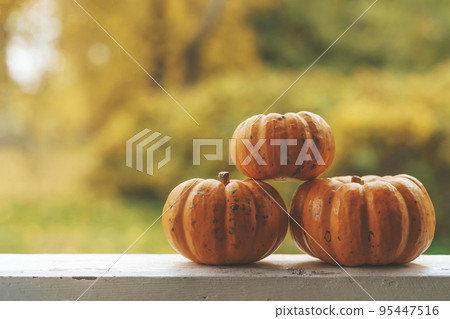 Autumn background. Pumpkins for decor and home decoration for Halloween and Thanksgiving. October, November, atmosphere and autumn mood concept. 95447516