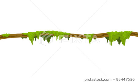 Lianas stem border. Rainforest green vine or twisted plant hanging on branch. Cartoon jungle creeper, leaves or moss on tree. Vector isolated game scenery element. Tropical nature plant 95447586