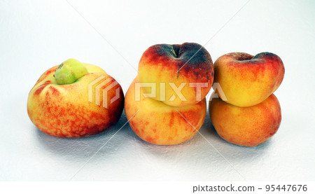 Unusual Donut Peach isolated on white. Ripe fresh tasty flat peaches of unusual shape, fused two by two together close-up. paraguayo Unusual Donut Peach isolated on white. Ripe fresh tasty flat peaches of unusual shape, fused two by two together close-up. paraguayo 95447676