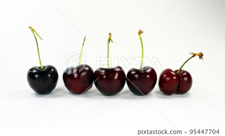 Ripe burgundy cherries. Four common berries and one uncommon double. One is different from the others, symbolizes individuality, originality Ripe burgundy cherries. Four common berries and one uncommon double. One is different from the others, symbolizes individuality, originality 95447704