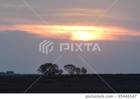 Pampas sunset landscape, La pampa, Argentina 95448347