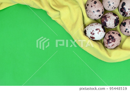 Quail eggs on a light green surface, top view, empty place for t Quail eggs on a light green surface, top view, empty place for t 95448519