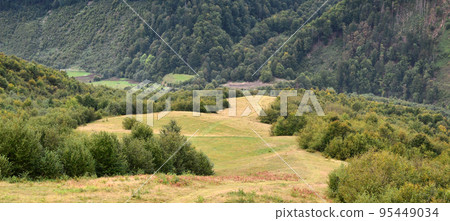 Fragment of the mountainous terrain in the Carpathians, Ukraine. The forest is forgiven by the reliefs of the Carpathian Mountains 95449034