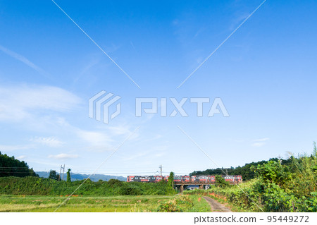 [Hokusei Line] Season of cluster amaryllis and train 95449272