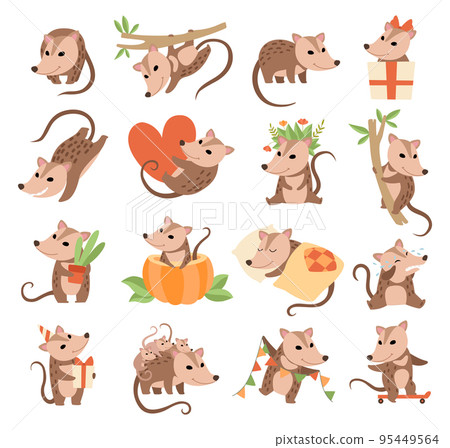 Cute Opossum Animal Engaged in Different Activity Big Vector Set 95449564