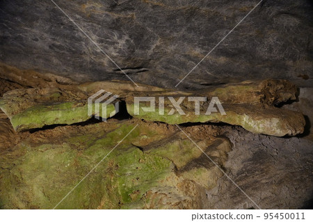 This photo was taken at Kyusendo Cave in Kumamoto Prefecture. 95450011