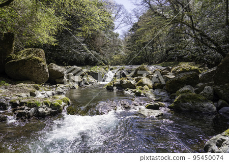 Photo taken at Kikuchi Valley in Kumamoto Prefecture. Photo taken at Kikuchi Valley in Kumamoto Prefecture. 95450074