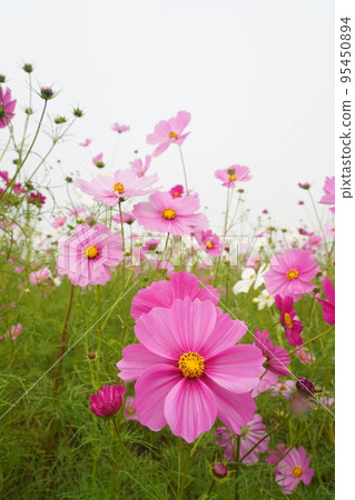 宇宙1510 宇宙1510 95450894