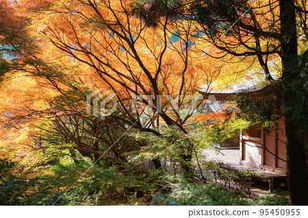 欽國寺長豐院大志堂秋景 95450955