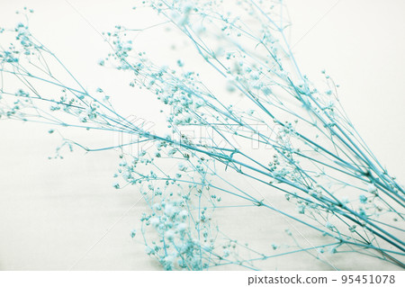 Sesame flower dried flower 95451078