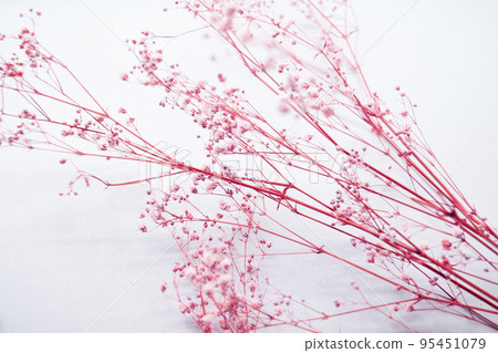 Sesame flower dried flower 95451079