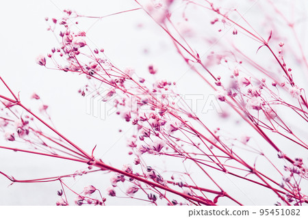 Sesame flower dried flower 95451082