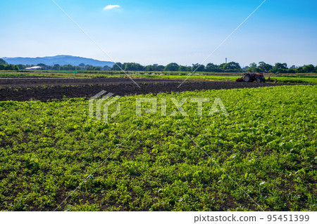 關越高速公路花園IC附近 農田風光 初夏時節 95451399
