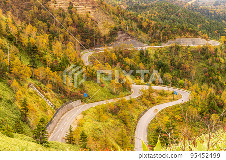 Shiga Kusatsu Kogen Route Mountains of colored leaves from near Yamada Pass 95452499