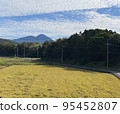 Contrast between rice and nature 95452807
